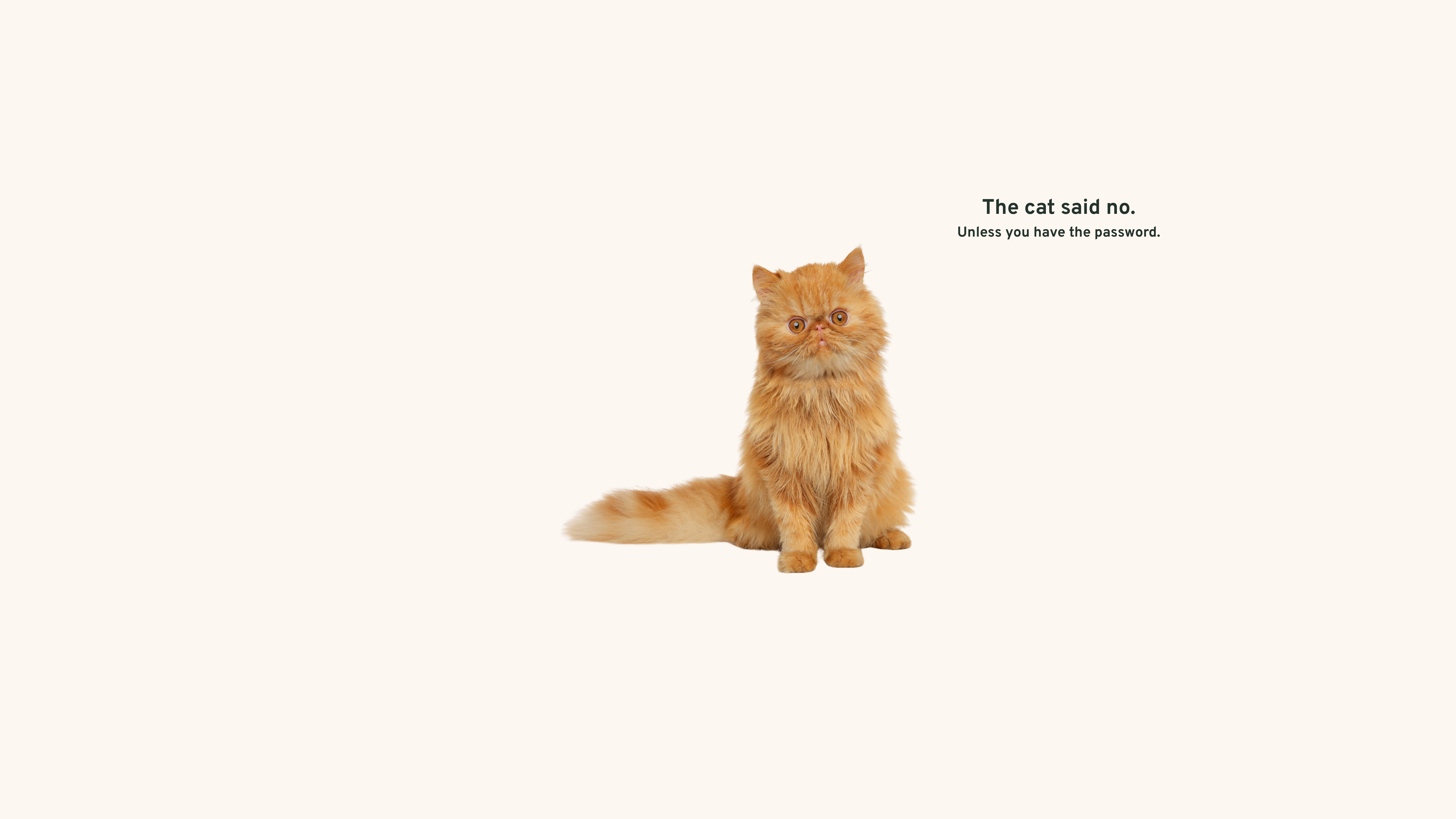 The cat said no. Unless you have the password.